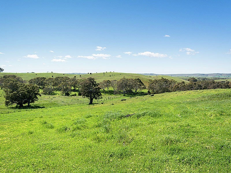 Lot 1 Hope Watts Road, Brukunga SA 5252