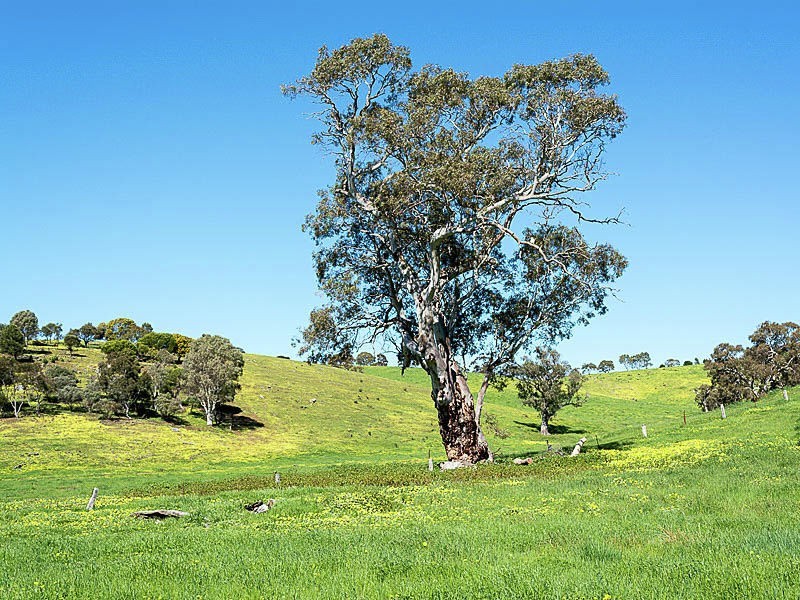 Lot 1 Hope Watts Road, Brukunga SA 5252