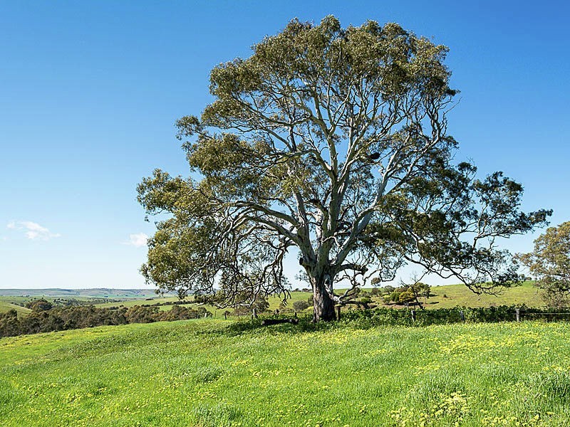 Lot 1 Hope Watts Road, Brukunga SA 5252