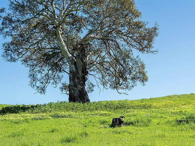 Lot 1 Hope Watts Road, Brukunga SA 5252