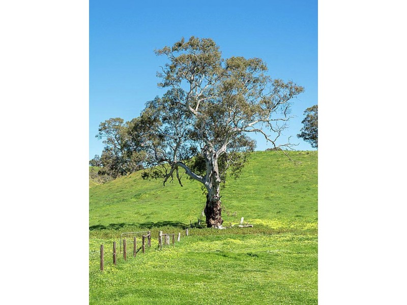 Lot 1 Hope Watts Road, Brukunga SA 5252