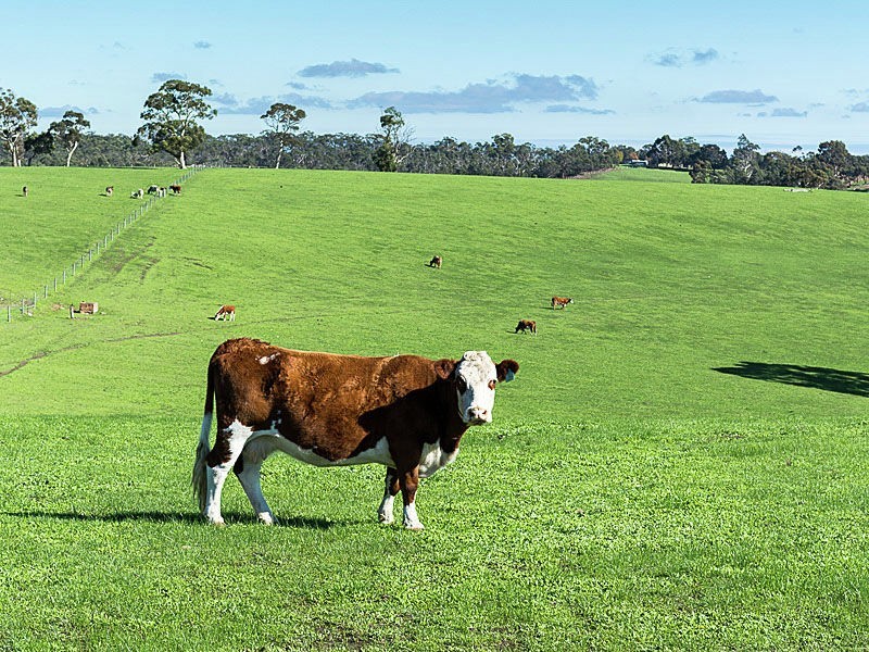 2 Kingsway Road, Kangarilla SA 5157