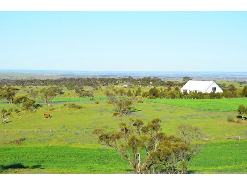 169 Bondleigh Road, Rockleigh SA 5254