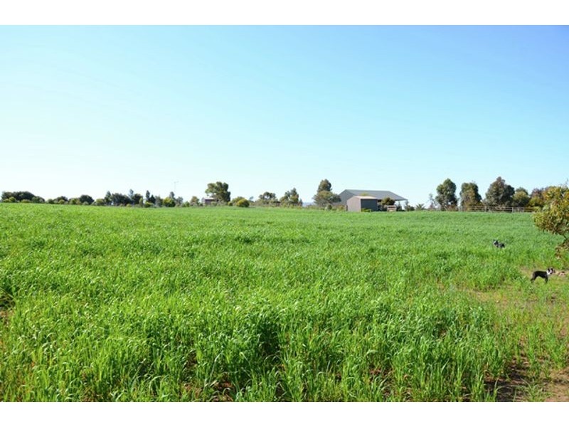 169 Bondleigh Road, Rockleigh SA 5254