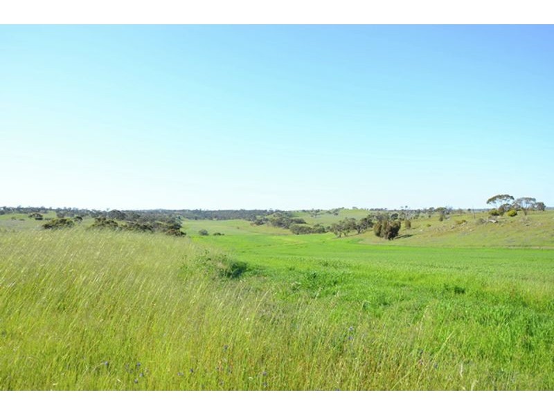 169 Bondleigh Road, Rockleigh SA 5254