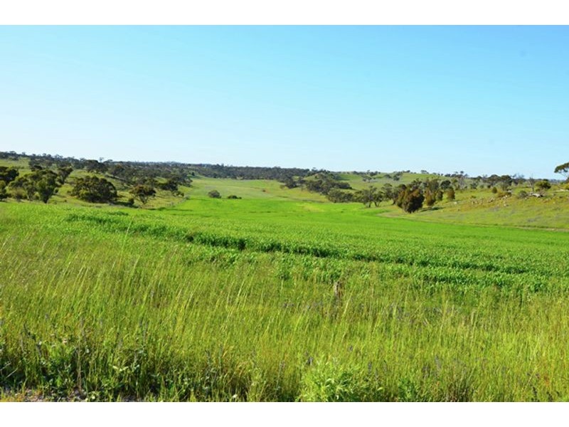 169 Bondleigh Road, Rockleigh SA 5254