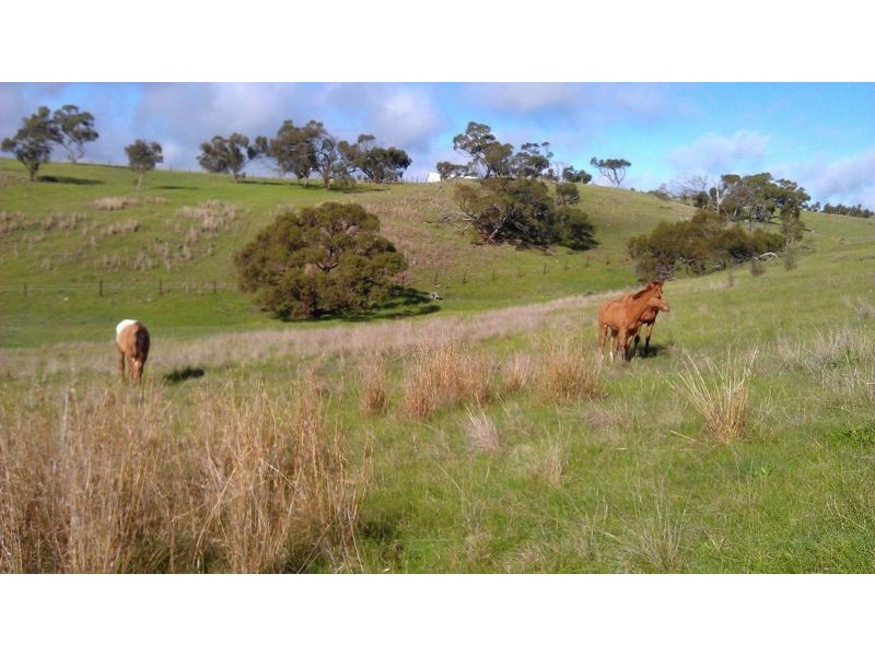 169 Bondleigh Road, Rockleigh SA 5254