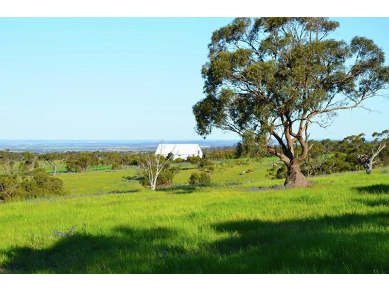 169 Bondleigh Road, Rockleigh SA 5254