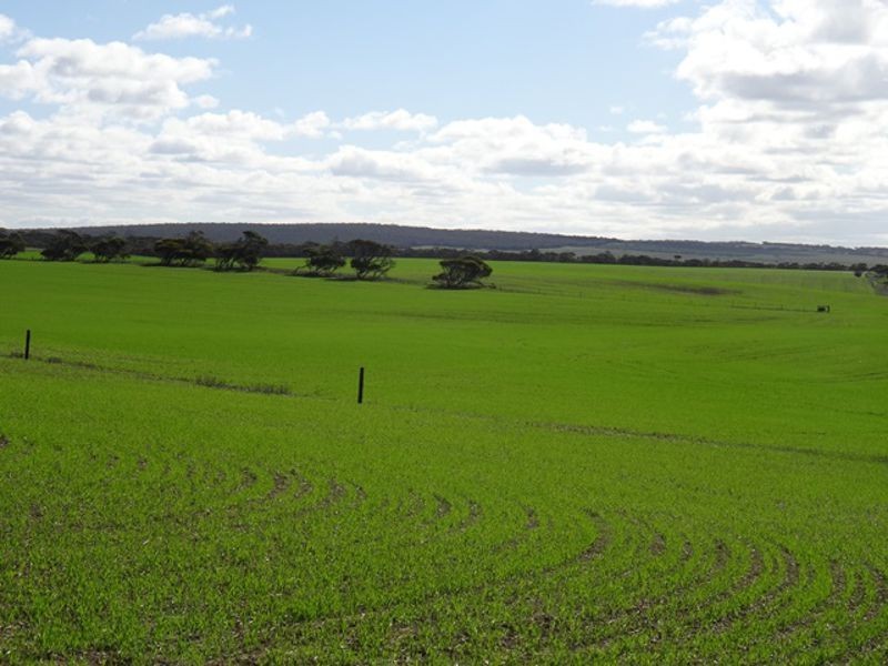 Lot 25 Chaunceys Line Rd, Monarto South SA 5254