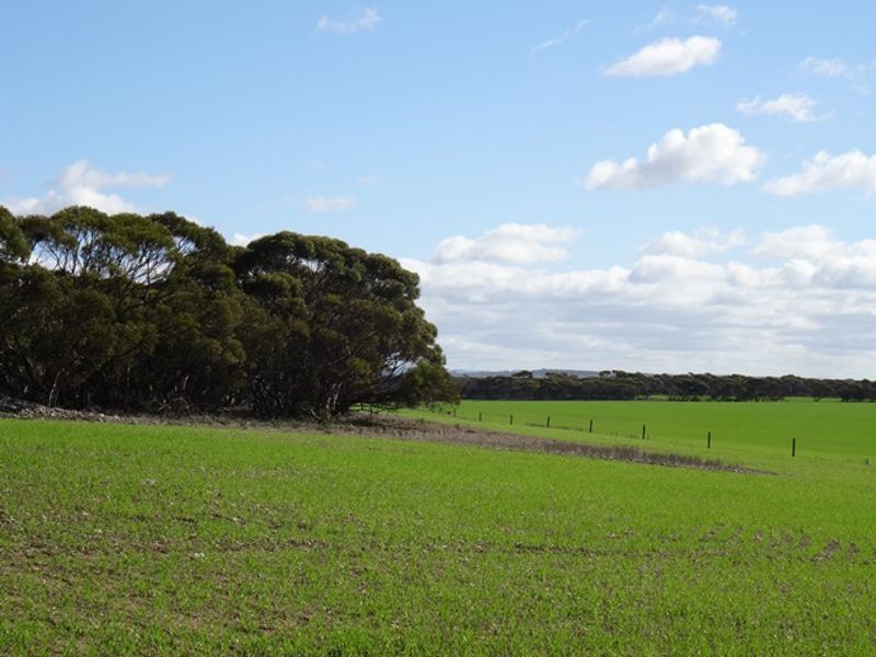 Lot 25 Chaunceys Line Rd, Monarto South SA 5254