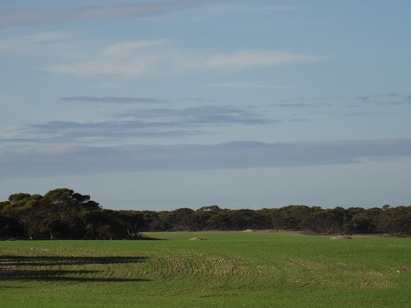 Lot 25 Chaunceys Line Rd, Monarto South SA 5254