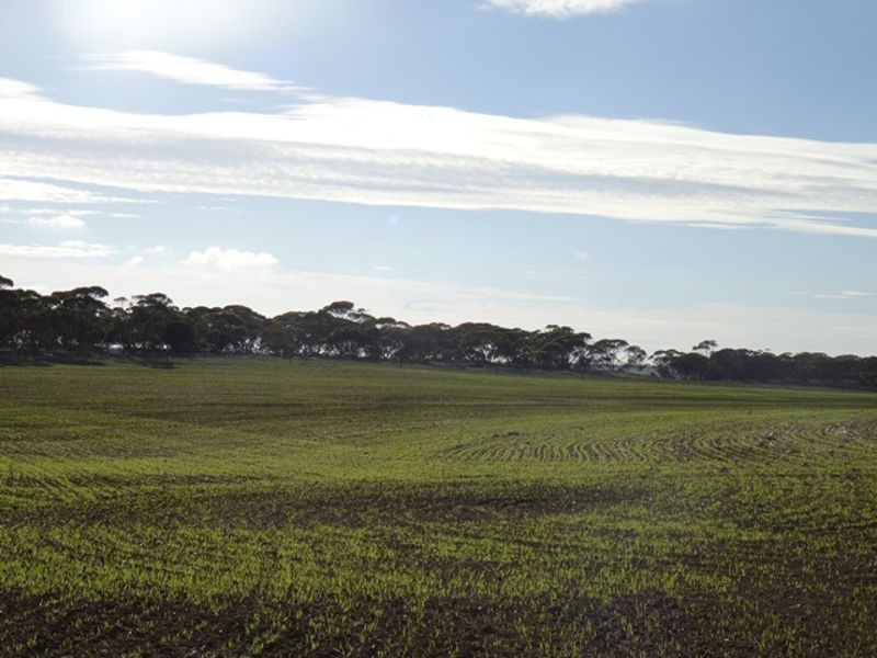 Lot 25 Chaunceys Line Rd, Monarto South SA 5254