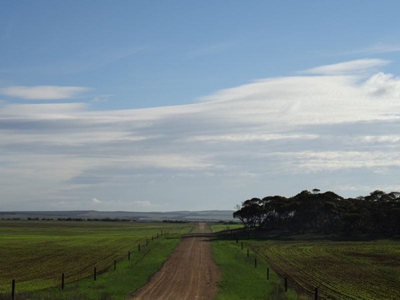 Lot 25 Chaunceys Line Rd, Monarto South SA 5254