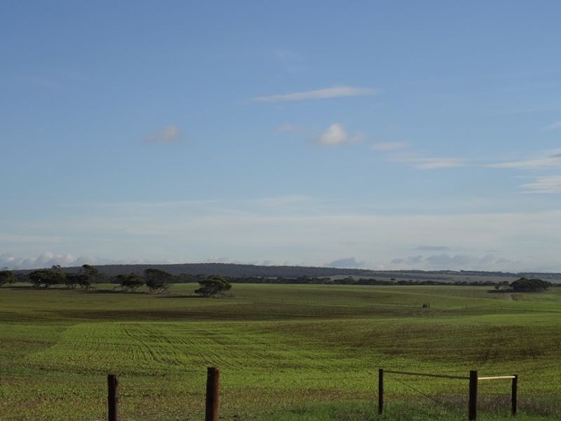 Lot 25 Chaunceys Line Rd, Monarto South SA 5254