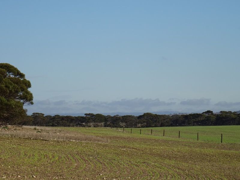 Lot 25 Chaunceys Line Rd, Monarto South SA 5254