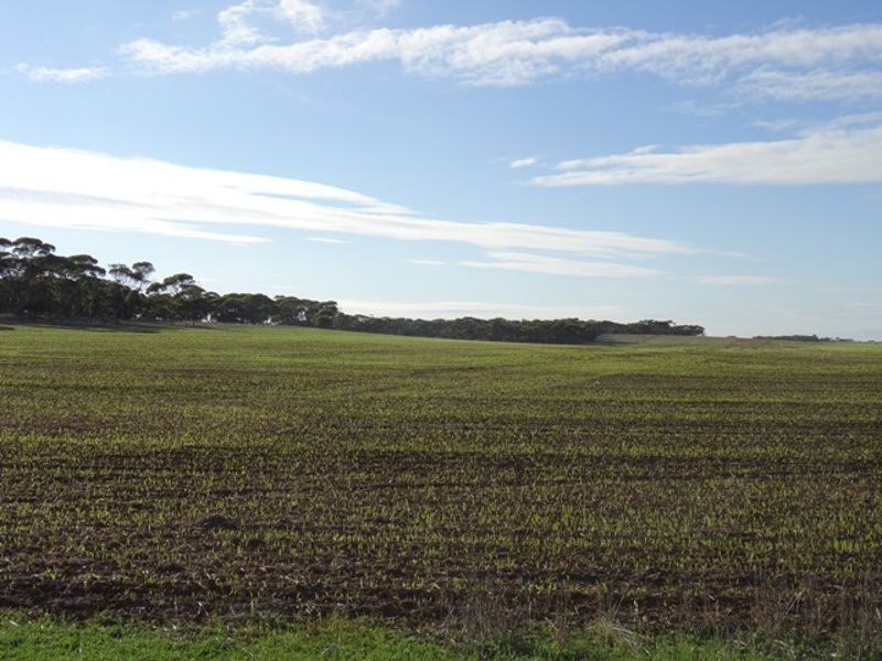 Lot 25 Chaunceys Line Rd, Monarto South SA 5254