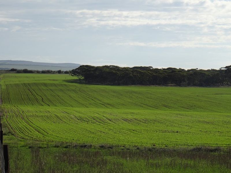 Lot 25 Chaunceys Line Rd, Monarto South SA 5254