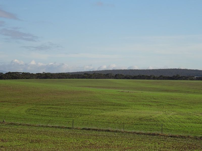 Lot 25 Chaunceys Line Rd, Monarto South SA 5254