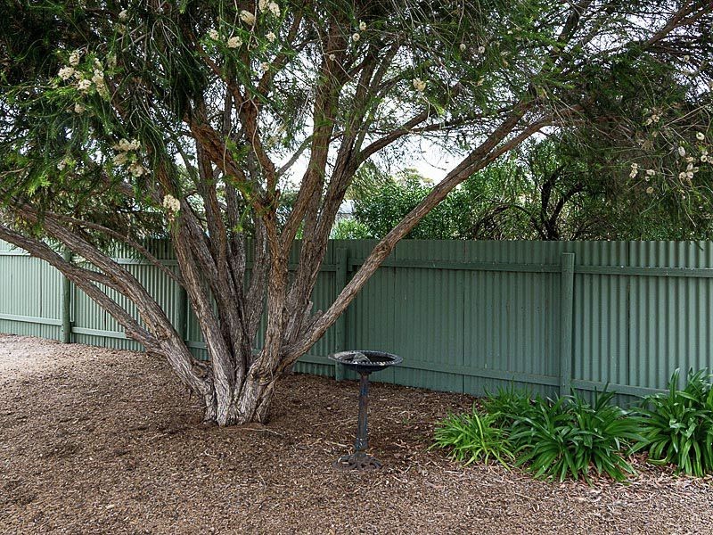 10 Hannam Street, Callington SA 5254