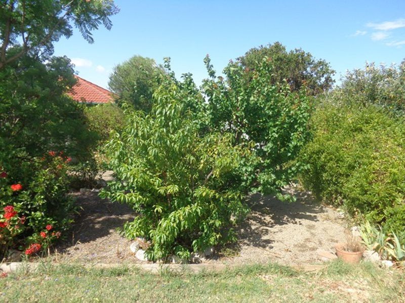 7/21 Parker Avenue, Strathalbyn SA 5255