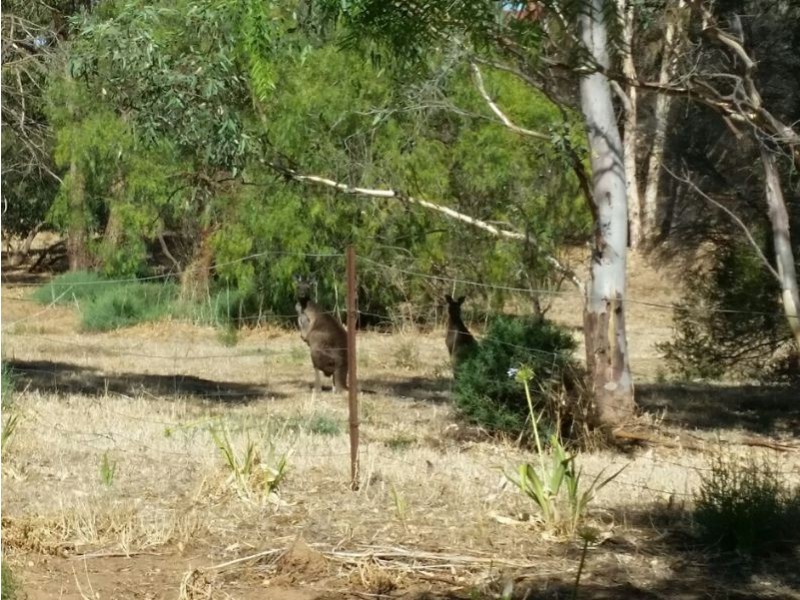 6 Riverview Drive, Callington SA 5254