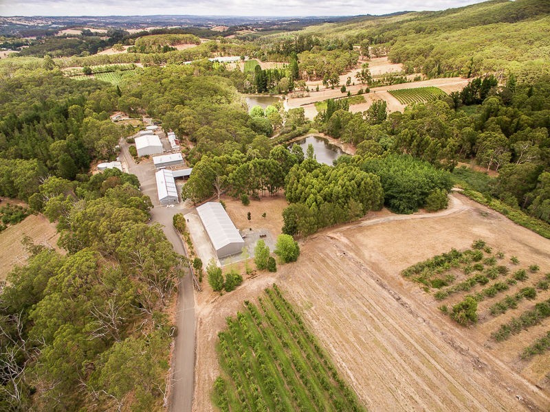 Lot 68 Swamp Road, Lenswood SA 5240