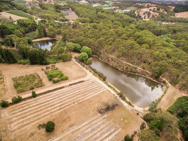 Lot 68 Swamp Road, Lenswood SA 5240