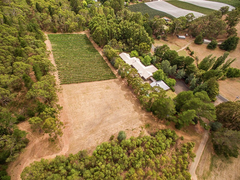 Lot 68 Swamp Road, Lenswood SA 5240