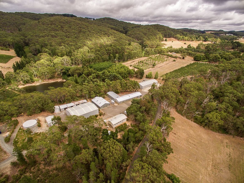 Lot 68 Swamp Road, Lenswood SA 5240