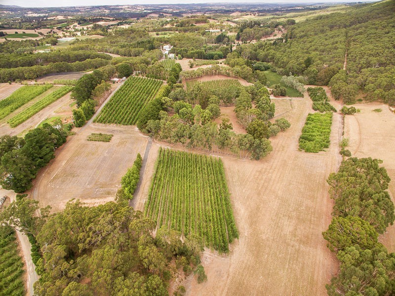 Lot 68 Swamp Road, Lenswood SA 5240