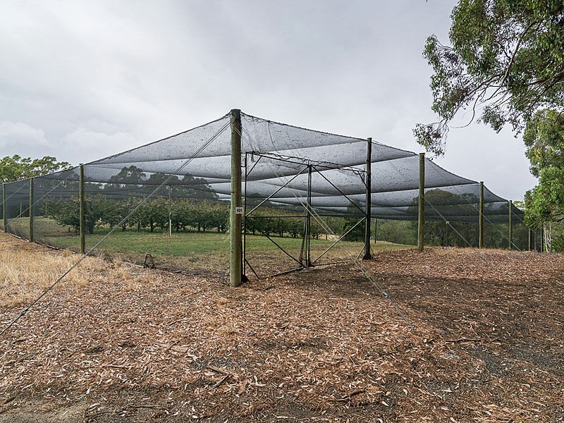 Lot 68 Swamp Road, Lenswood SA 5240