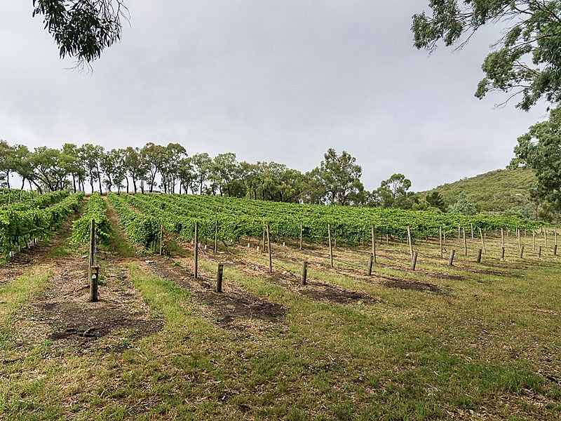 Lot 68 Swamp Road, Lenswood SA 5240