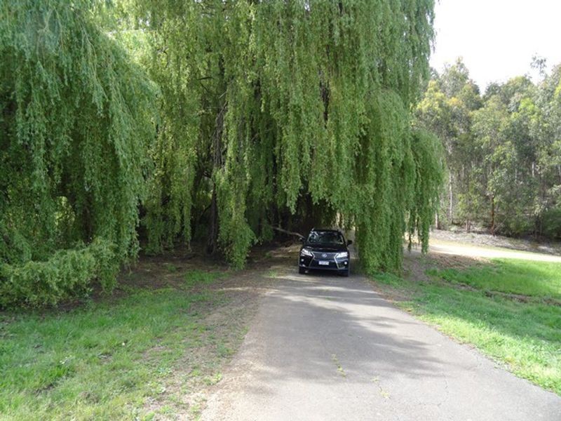 Lot 68 Swamp Road, Lenswood SA 5240