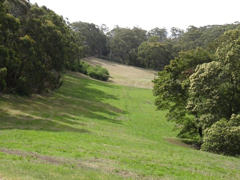 Lot 68 Swamp Road, Lenswood SA 5240