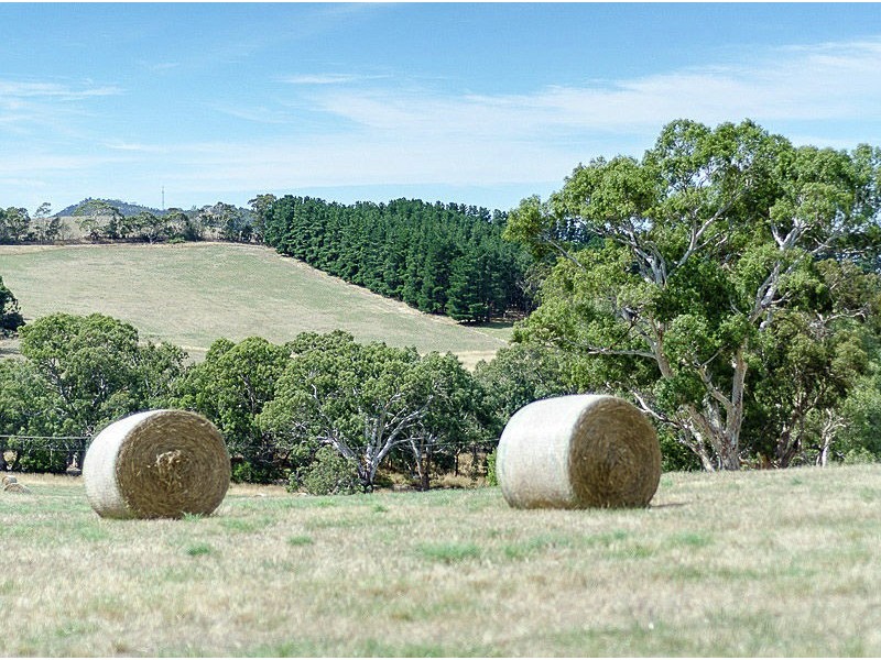 30 Hender Road, Wistow SA 5251