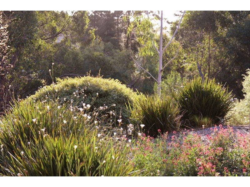 31 Valley View Crescent, Norton Summit SA 5136