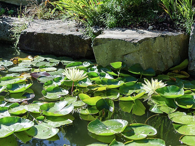 7 Light Place, Mount Compass SA 5210