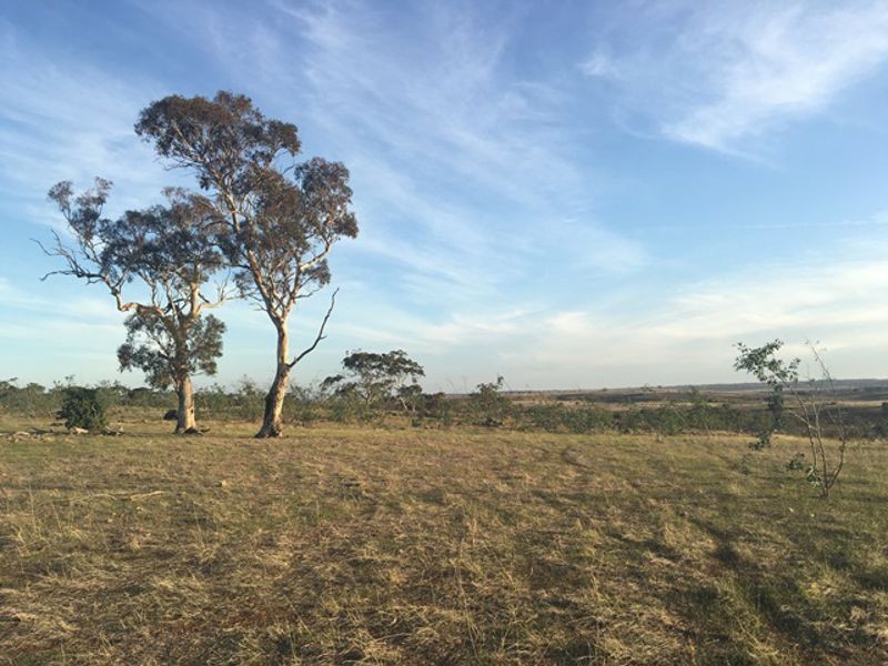 Lot 94 Talbot Road, Rockleigh SA 5254