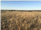 Lot 94 Talbot Road, Rockleigh SA 5254