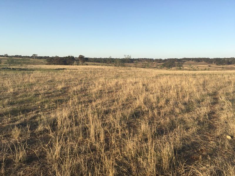 Lot 94 Talbot Road, Rockleigh SA 5254