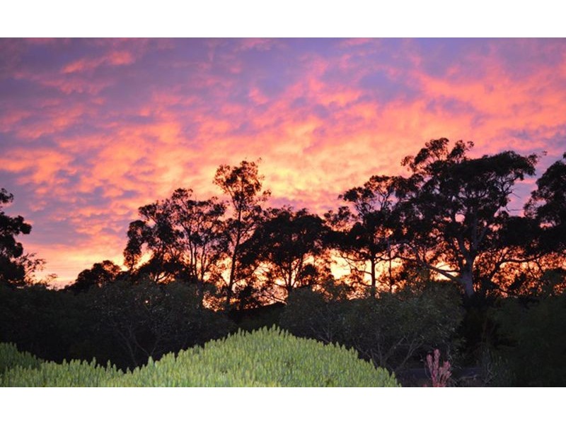 Lot 11 Range Road, Basket Range SA 5138