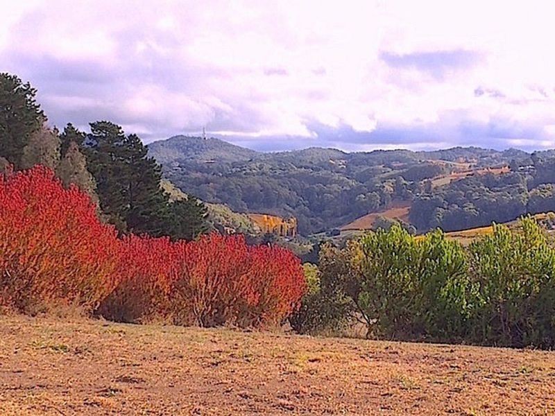 Lot 11 Range Road, Basket Range SA 5138