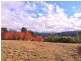 Lot 11 Range Road, Basket Range SA 5138