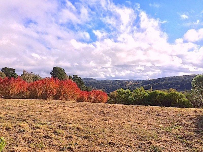 Lot 11 Range Road, Basket Range SA 5138