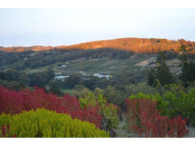Lot 11 Range Road, Basket Range SA 5138