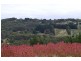 Lot 11 Range Road, Basket Range SA 5138