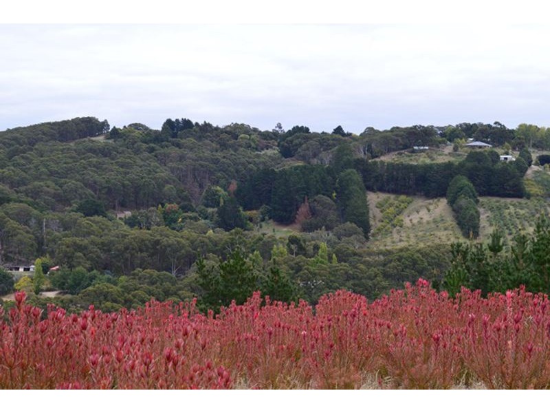 Lot 11 Range Road, Basket Range SA 5138