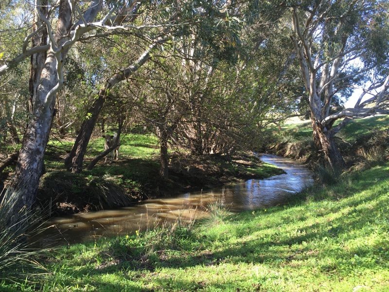 Eclair Mine Road, St Ives SA 5252