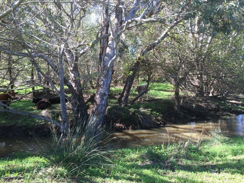 Eclair Mine Road, St Ives SA 5252