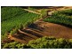 Lt 101 Mawson Road, Lenswood SA 5240